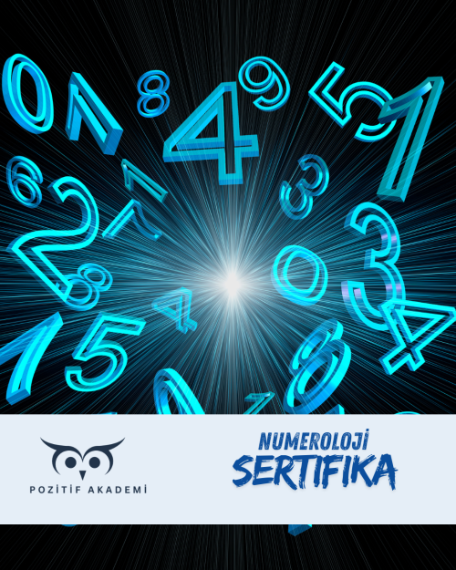 En iyi numeroloji eğitimi